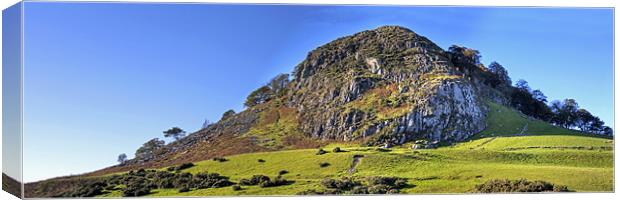 Loudoun Hill Panorama Canvas Print by Tom Gomez