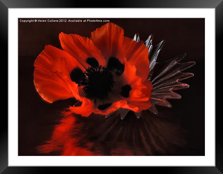 GLAMOUR POPPY Framed Mounted Print by Helen Cullens