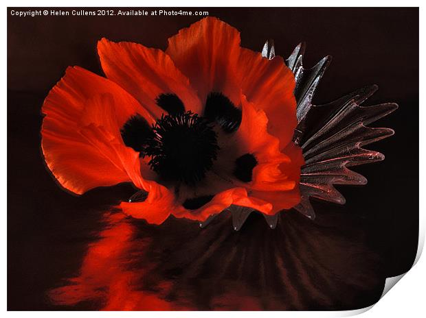 GLAMOUR POPPY Print by Helen Cullens