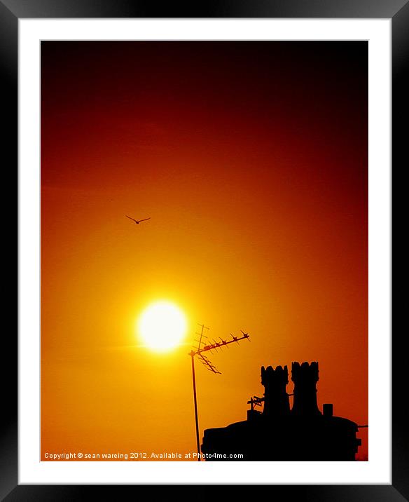 Rooftop sunset Framed Mounted Print by Sean Wareing