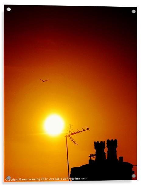 Rooftop sunset Acrylic by Sean Wareing