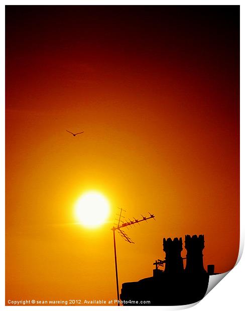 Rooftop sunset Print by Sean Wareing