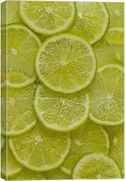 Lime Slice Canvas Print by Kevin Tate