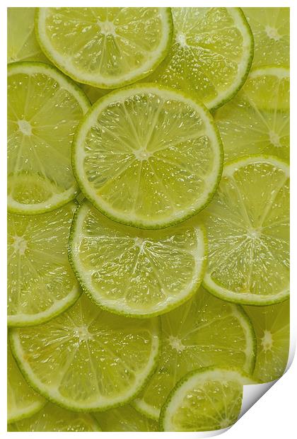 Lime Slice Print by Kevin Tate