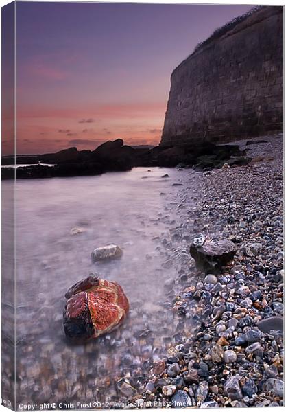 Wet Rocks at the Nothe Canvas Print by Chris Frost