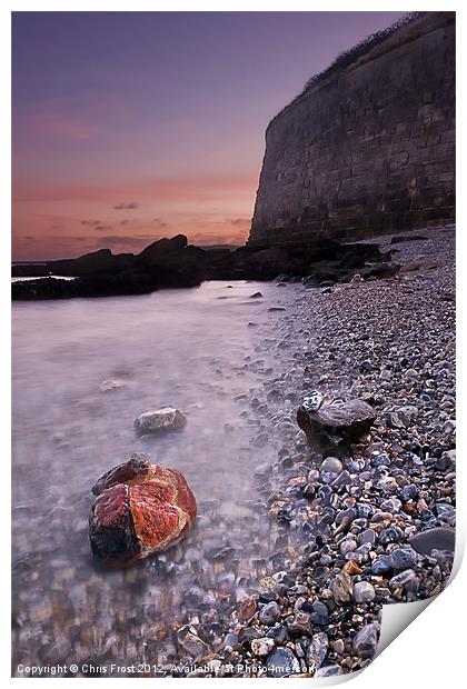 Wet Rocks at the Nothe Print by Chris Frost