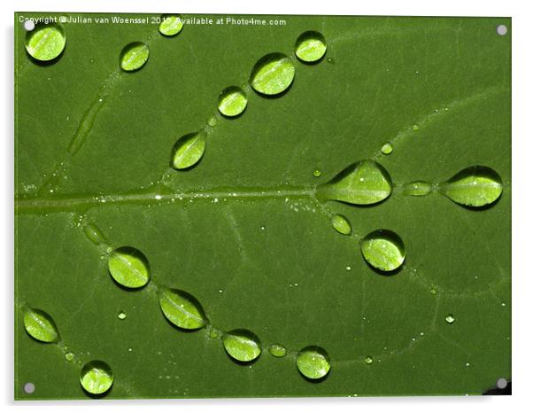 Water on Leaf Acrylic by Julian van Woenssel