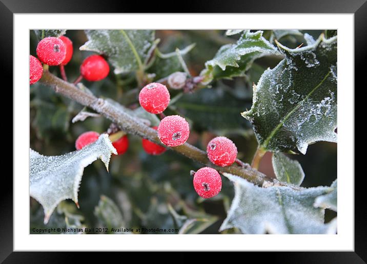 Frosty Holly Framed Mounted Print by Nicholas Ball