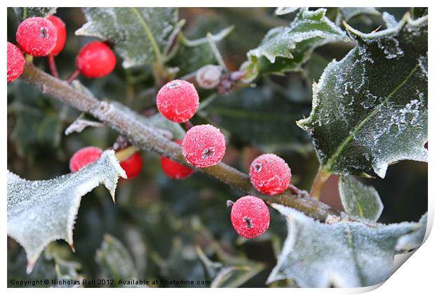 Frosty Holly Print by Nicholas Ball
