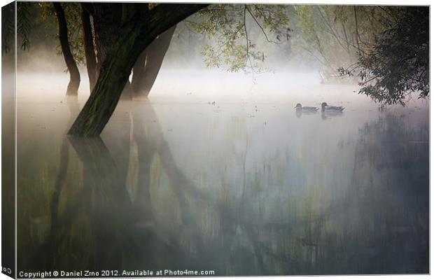 Ducks on Bundek Ghost Lake Canvas Print by Daniel Zrno