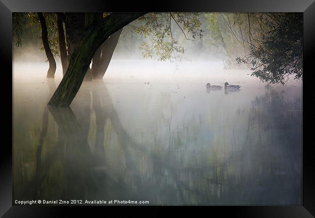 Ducks on Bundek Ghost Lake Framed Print by Daniel Zrno