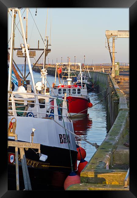 Amble Fishing Boats Framed Print by Kevin Tate