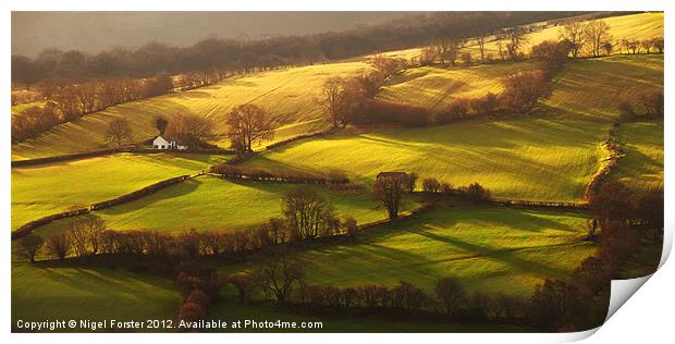 Duffryn Crawnon spring glow Print by Creative Photography Wales