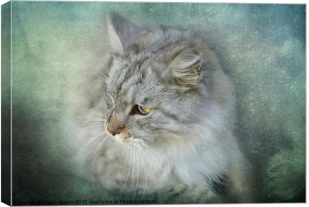 Grey Cat Canvas Print by Karen Martin