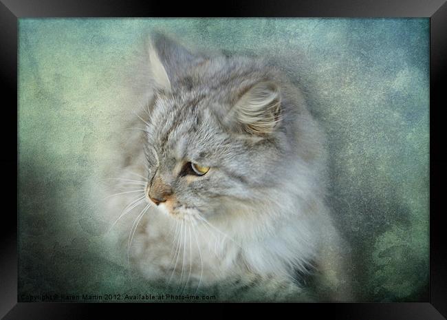 Grey Cat Framed Print by Karen Martin