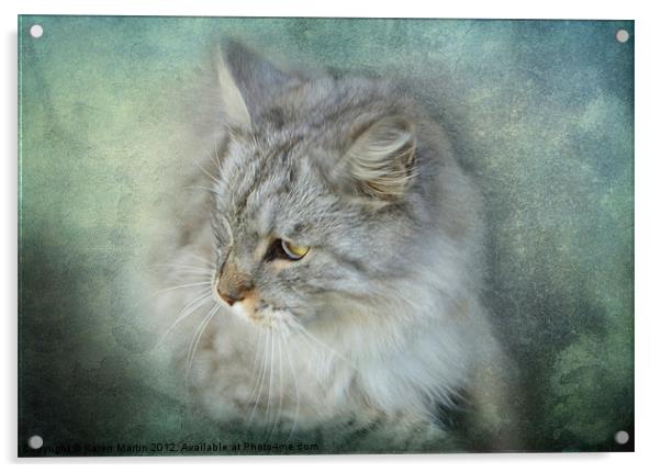 Grey Cat Acrylic by Karen Martin