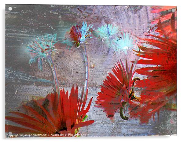 dance of the flowers 111 Acrylic by joseph finlow canvas and prints