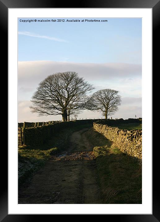 Bridleway Framed Mounted Print by malcolm fish