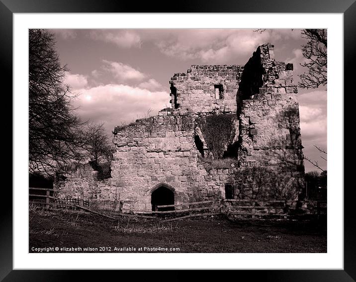Ayton Castle Framed Mounted Print by Elizabeth Wilson-Stephen