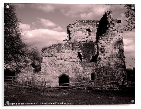 Ayton Castle Acrylic by Elizabeth Wilson-Stephen