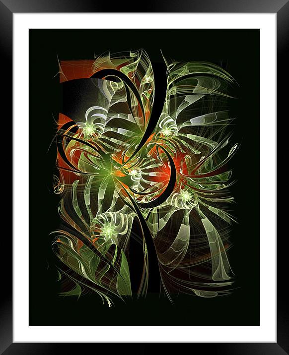 Undergrowth Framed Mounted Print by Amanda Moore