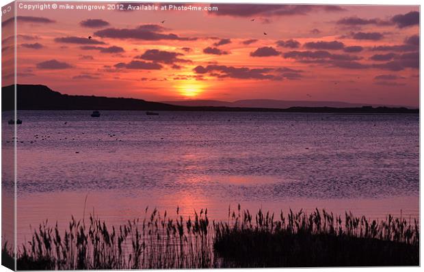 Sunset in mudeford Dorset Canvas Print by mike wingrove