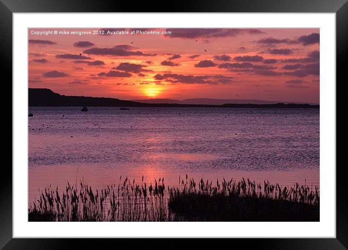 Sunset in mudeford Dorset Framed Mounted Print by mike wingrove