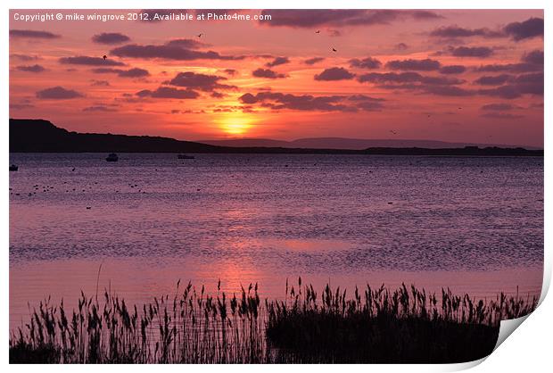 Sunset in mudeford Dorset Print by mike wingrove