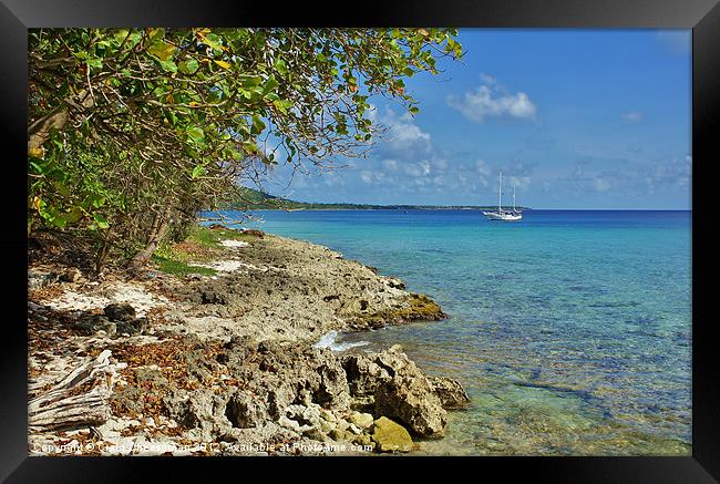 Dream life Framed Print by Craig Cheeseman