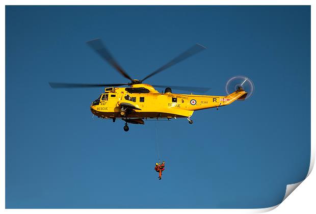 Seaking Helicopter Print by Gail Johnson