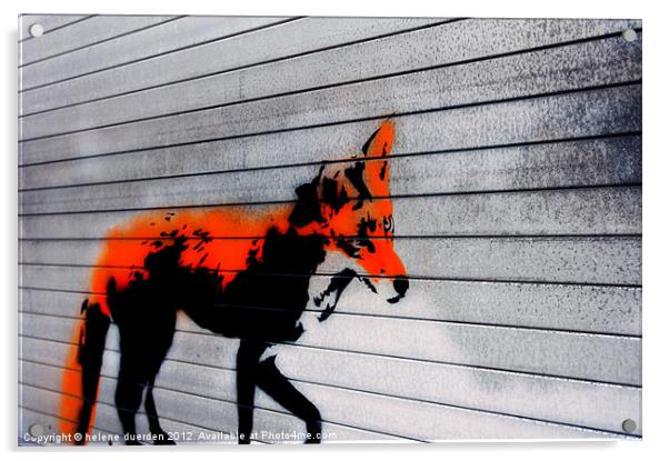 City Fox Acrylic by helene duerden