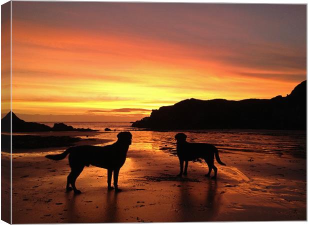 2 dogs at sunset Canvas Print by Gail Johnson