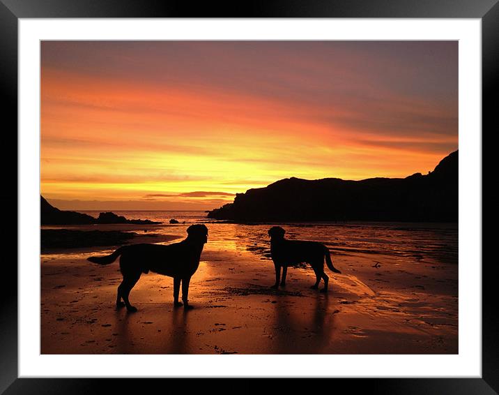 2 dogs at sunset Framed Mounted Print by Gail Johnson