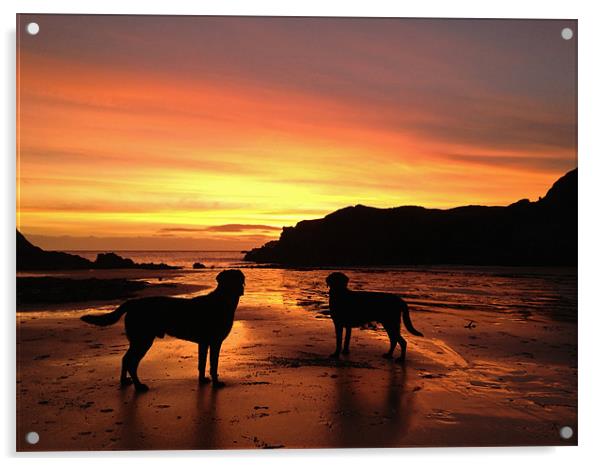2 dogs at sunset Acrylic by Gail Johnson
