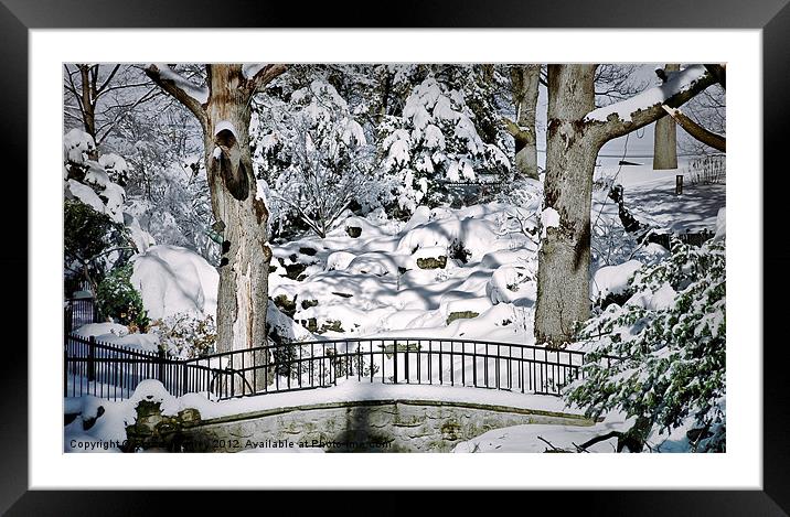 Snowy Walkway Framed Mounted Print by Elaine Manley