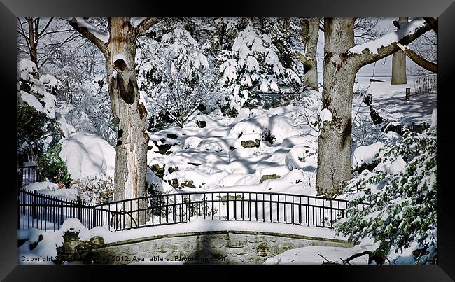 Snowy Walkway Framed Print by Elaine Manley