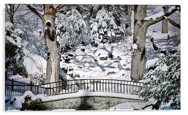 Snowy Walkway Acrylic by Elaine Manley