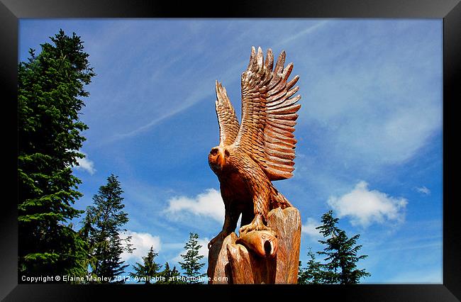 Wooden Carving Eagle .. misc  Framed Print by Elaine Manley