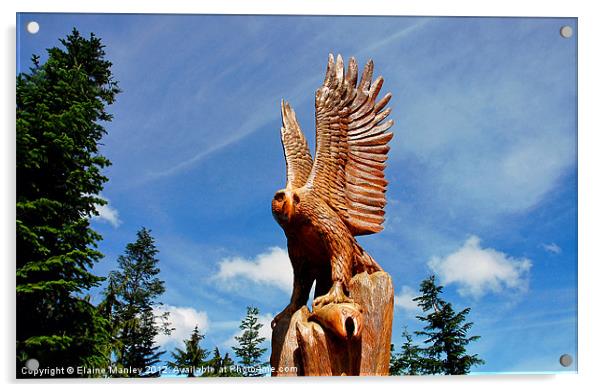Wooden Carving Eagle .. misc  Acrylic by Elaine Manley