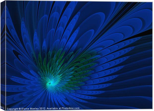 Peacock Feathers .. fractal Canvas Print by Elaine Manley