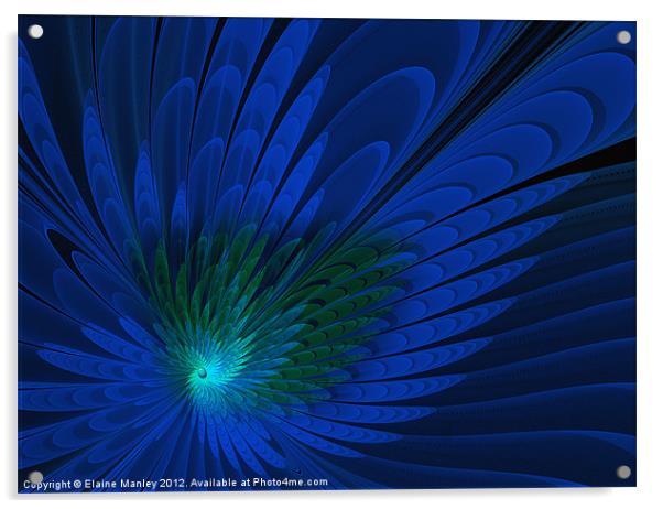 Peacock Feathers .. fractal Acrylic by Elaine Manley