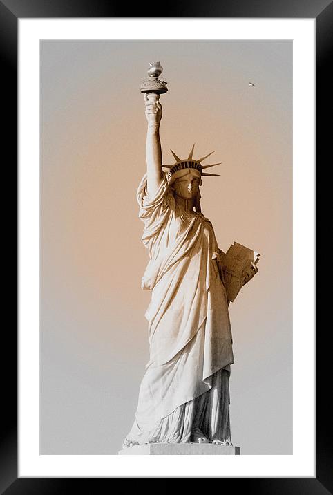 Liberty 1 Framed Mounted Print by Graham Carter