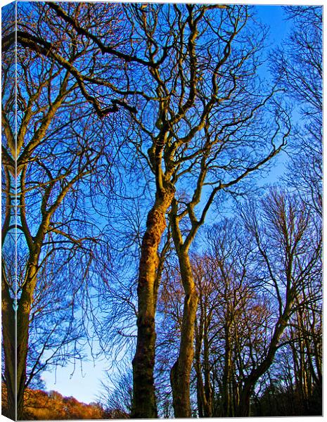 Blue Skys All the Way Canvas Print by Gerry Mechan