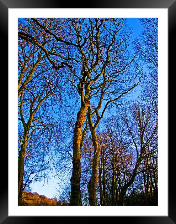 Blue Skys All the Way Framed Mounted Print by Gerry Mechan