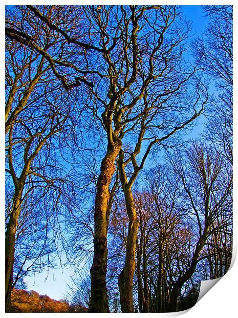 Blue Skys All the Way Print by Gerry Mechan