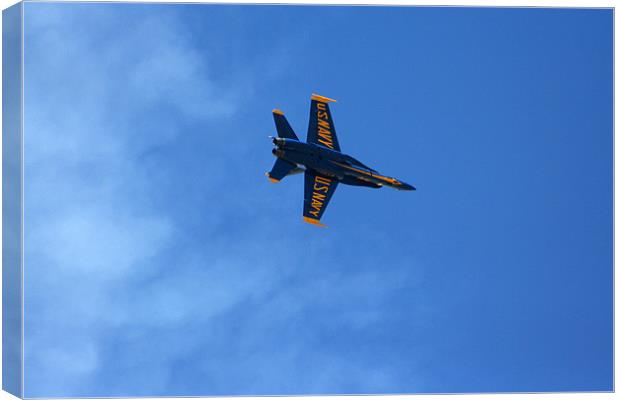 Blue Angels' Canvas Print by Larry Stolle
