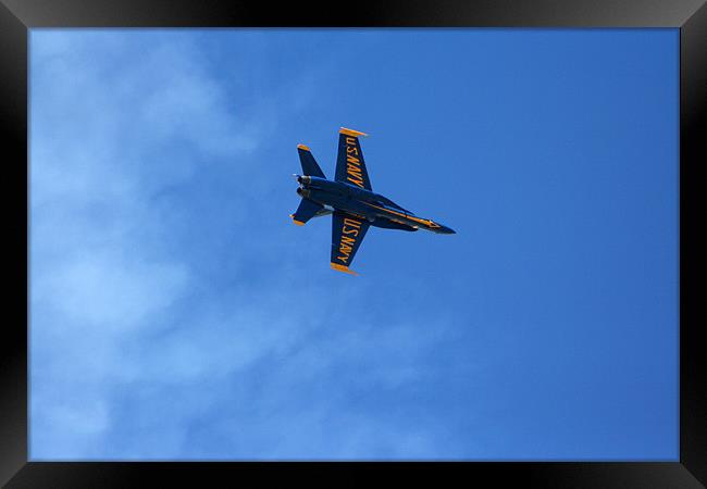 Blue Angels' Framed Print by Larry Stolle