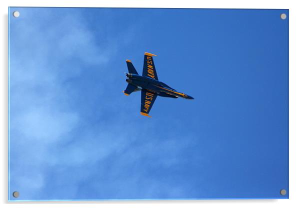 Blue Angels' Acrylic by Larry Stolle