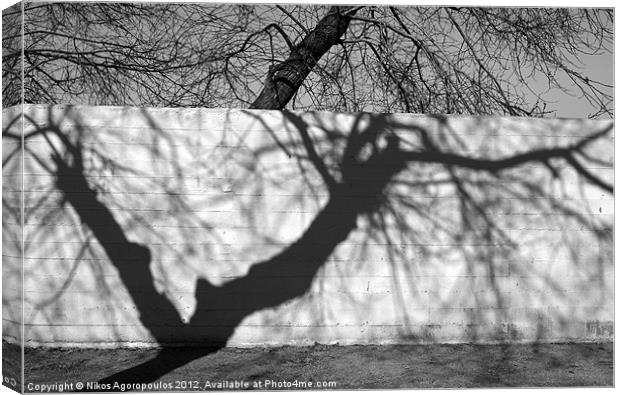 tree shadow on concrete wall Canvas Print by Alfani Photography