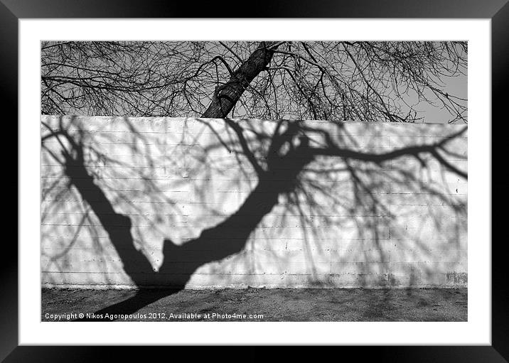 tree shadow on concrete wall Framed Mounted Print by Alfani Photography